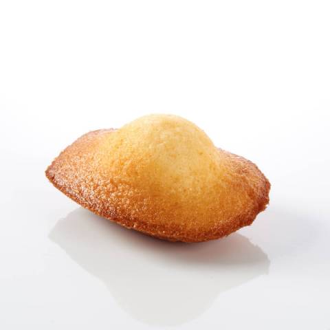 MADELEINE